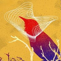 Binding Chaos (@binding_chaos) 's Twitter Profile Photo Binding Chaos (@binding_chaos) 's Twitter Profile Photo