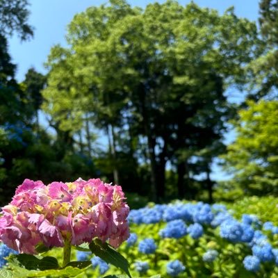 tcpip1122's profile picture. 定期的に秘密の遊びをしています。興味ある方、調教のご依頼はDMで。