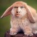 catfish78 (@catfish78524732) Twitter profile photo catfish78 (@catfish78524732) Twitter profile photo