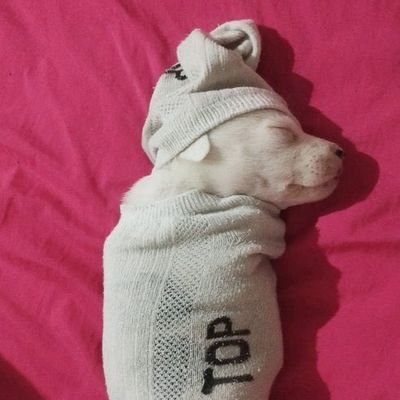 3L4R05's profile picture. Lurker