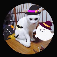 たろう (@48vne7neky17953) 's Twitter Profile Photo たろう (@48vne7neky17953) 's Twitter Profile Photo