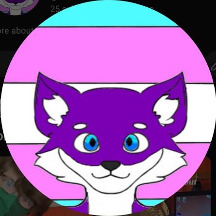 Telu_the_jox's profile picture. I am a 17 year old Gay Canadian🇨🇦 furry🦊 my pronouns ar she ⁄ her🏳️‍⚧️ voice actor🎙