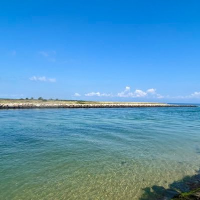 PinkPolkaDotJen's profile picture. Cape Cod girl, following all things true crime