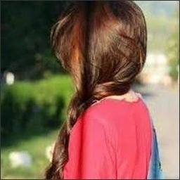 ShorshouthTShu's profile picture. 