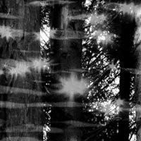 belantara (@abelantara) 's Twitter Profile Photo