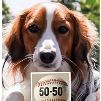 黄色いバス(大谷選手応援💙⚾LA💙) (@418_yuu) Twitter profile photo