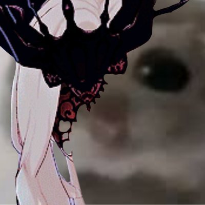NOT LEAK FREE.
dms are open.
Yes, I am pure hopium, and i am proud.
#lasignora #signora
There is also a whole subreddit for SignoraMains btw.
