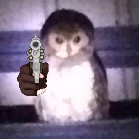 KillafAndrew's profile picture. I post/repost random things I see on X (formerly Twitter),
playing casual game for my casual life.
