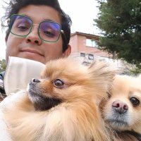 Raymundo Villa Huerta (@rayomacuin92) 's Twitter Profile