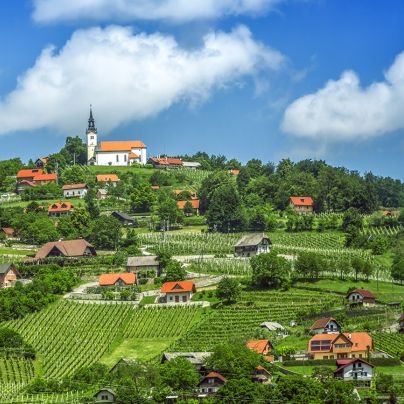 Dolenc368799's profile picture. Crypto trader, dolenc :)