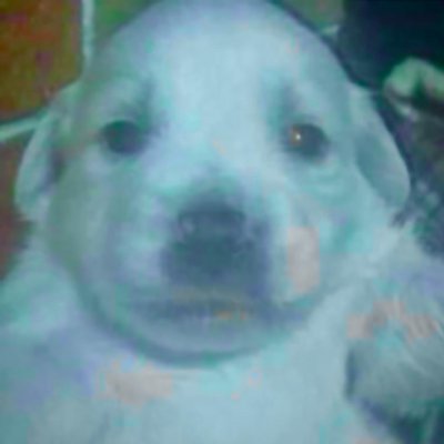 shooogunyams's profile picture. 🇨🇦✝️ National Senior Gymnast / UBC Bachelor Kinesiology
#CATMILKERS 🪦 @NaptimeSpl
✧༻∞ https://t.co/nhoXyZcrTt ∞༺✧