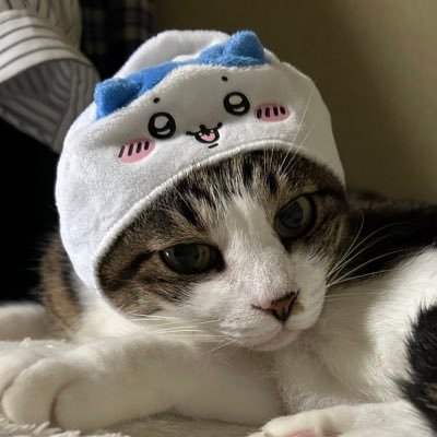 はーたんさんのプロフィール画像