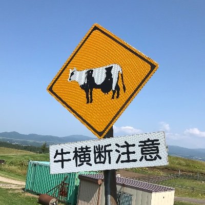 @rankansen313