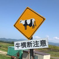 ランカンセン (@rankansen313) 's Twitter Profile Photo ランカンセン (@rankansen313) 's Twitter Profile Photo