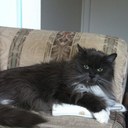 David Piche - @ThePiche - Twitter