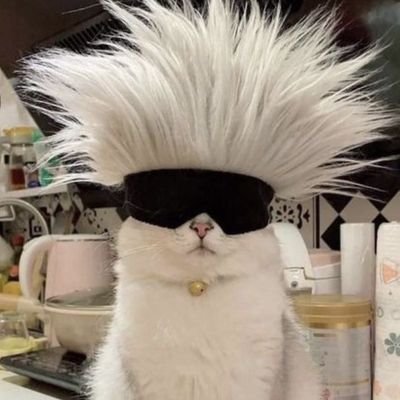 mohokun2360373's profile picture. 