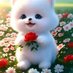 Anwer (@anwer2156710290) Twitter profile photo Anwer (@anwer2156710290) Twitter profile photo