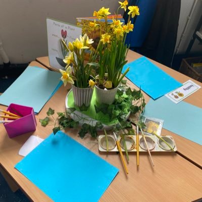 EYFS Teacher, FDA Early Childhood Studies, BA Hons Education, Award in Education and training, Inspiring and being inspired 👩🏽🏫