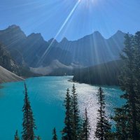 Prithu Raj (@prithuraj6) 's Twitter Profile