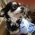ちーちゃん (@sukisukichichan) Twitter profile photo ちーちゃん (@sukisukichichan) Twitter profile photo