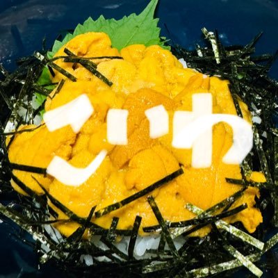 ママが夢をあきらめずやりたい事にチャレンジできる環境作りを目指すと言いつつ、いつでもどこでもビール飲みたい人。酒クズ発信。キャちゃんの行動報告。ただのゴミ捨て場なTwitter