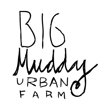 BigMuddyFarm's profile picture. We are a group of young urban growers passionate about cultivating food, working collectively and collaboratively, and sharing our skills with others.