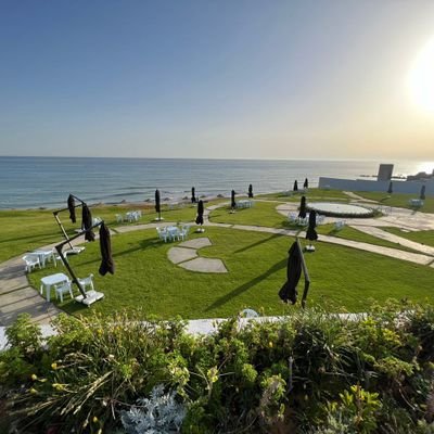 muhamadalr44972's profile picture. 