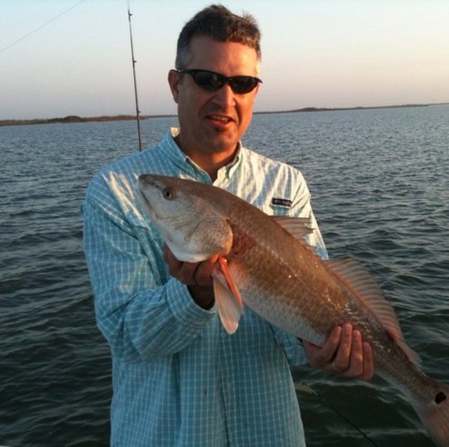 David_E_Payne's profile picture. Livin' the dream in South Texas...