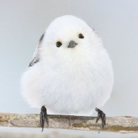 Nayz (@sakurachancoo) 's Twitter Profile Photo Nayz (@sakurachancoo) 's Twitter Profile Photo