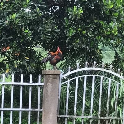 PNguyenqua33907's profile picture. a man 44 years olds,live in Dalat city Vietnam