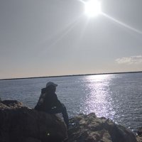 breaux (@basilmonline) 's Twitter Profile
