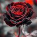 Majid Khan (@majid_khan642) Twitter profile photo Majid Khan (@majid_khan642) Twitter profile photo