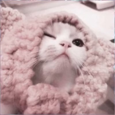 asxksn's profile picture. 