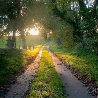 Muhammad umer (@mumerizhar234) 's Twitter Profile Photo