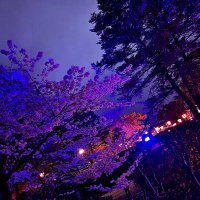 ‧✧̣̥̇‧✦‧✧̣̥̇‧✦‧✧̣̥̇‧✦‧✧̣̥̇‧✦‧✧̣̥̇‧✦‧✧̣̥̇‧✦‧✧̣̥̇‧✦ (@9_fluvius_) 's Twitter Profile