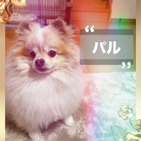 パル_🤣🤪🥳 (@paru_yukawa) 's Twitter Profile Photo