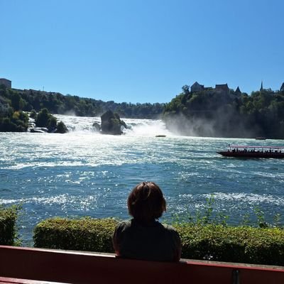 nancythedragon's profile picture. Zu wissen, was richtig ist und es nicht zu tun ist die grösste Feigheit.