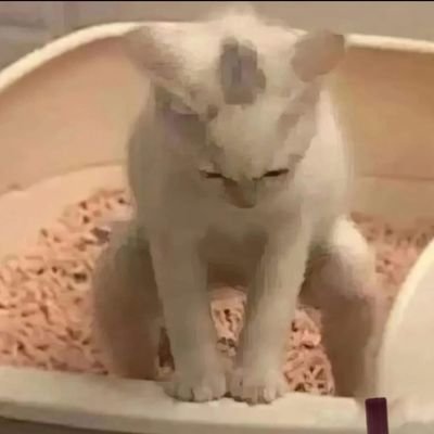 artum_ink's profile picture. 