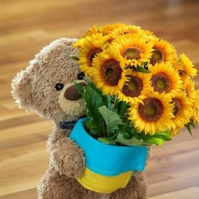 borahae_ttae's profile picture. เลี้ยงแมว