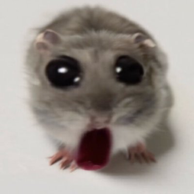 wilzooooooo's profile picture. Naw