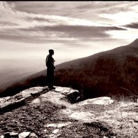 Hermit (@hermitual) 's Twitter Profile