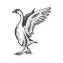 Goose & Gander (@goosegandernapa) 's Twitter Profile