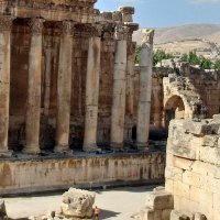 💚💛🧡🇱🇧ADAN🇱🇧 LBNON (@daher_mham28325) Twitter profile photo