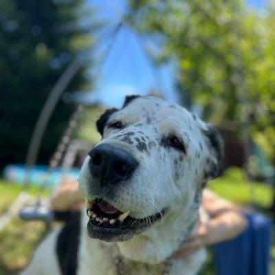 Lucky70489Lucky's profile picture. 