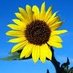 Kansas Mom (@kansasmom177513) Twitter profile photo Kansas Mom (@kansasmom177513) Twitter profile photo