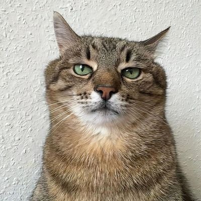 Naïf che rasenta l'alloccaggine.
Coraggiosa che rasenta l'incoscienza.
Frignona che cerca di difendersi dal suo eccesso di empatia.
Insomma, 'na fatica 😅