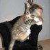 رقد ما رغد (@2r2gh2d) Twitter profile photo