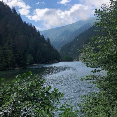 wibnhamdan's profile picture. 