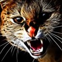 Peter Strecker - @PeterStrec48703 - Twitter