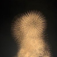 我はD (@sagippppa) 's Twitter Profile